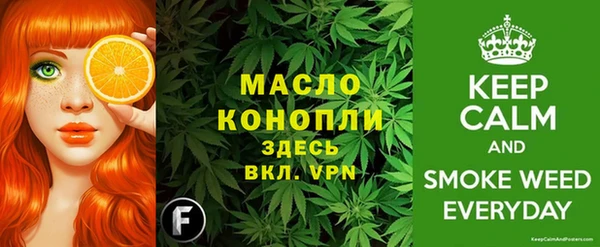 тгк Михайлов